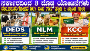 DEDS NLM KCC Schemes